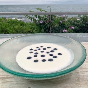 Yogurt, per Ounce