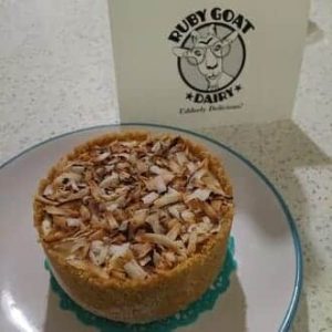 Mini 3.5" Goat Cheesecake With Coconut